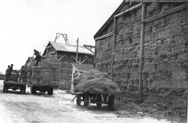 stockyards hay barns.jpg